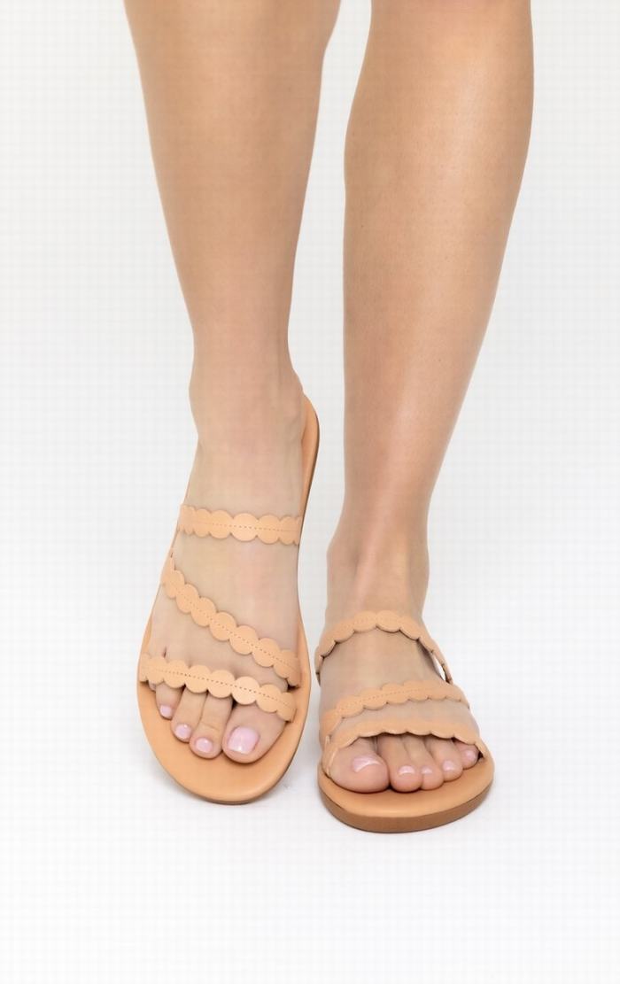 Sandales à Glissière Ancient Greek Sandals Oceanis   | ZFW-3397279